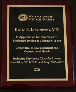 mms-award